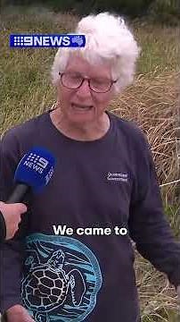 Cyclone Alfred: Spectacular sight on Bribie Island