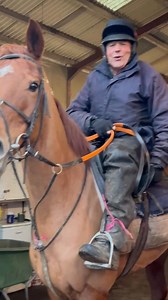 Well he’s back in the saddle 💙🏇🏼 doesn’t take him long, his pain has settled down & not as aggressive as it was there’s just no stopping him!! #racingyard #stablelife #strengh #teamwork #dedication #racehorses #life #passion | V & G Thompson Linkhouse Farm Racing