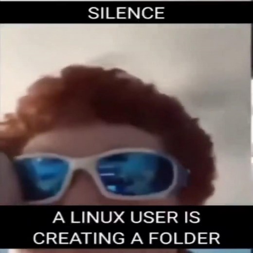 silence, a Linux user is creating a folder #funny #meme #memes