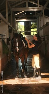Vertical young woman rider in equestrian uniform in stable saddling her horse. Horse riding training. She throws saddle on brown horse's back and fastens it. Authentic village barn.