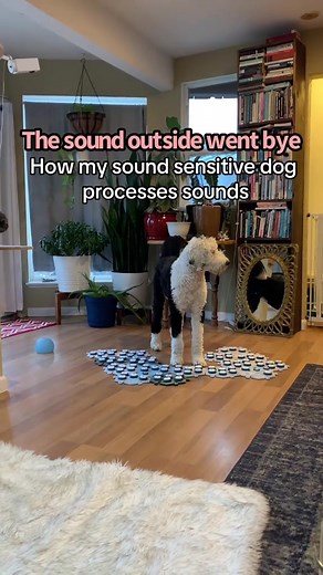 Bunny's Emotional Journey with Communication Tools