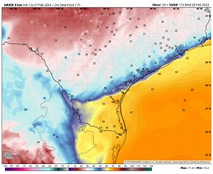 Dew point forecast for Wednesday as a cold front moves into the Coastal Bend; in CC around 11a/noon. This is *not* a temperature forecast. We are looking at moisture here because it does a good job illustrating the leading edge of the cold front. | Alan Holt
