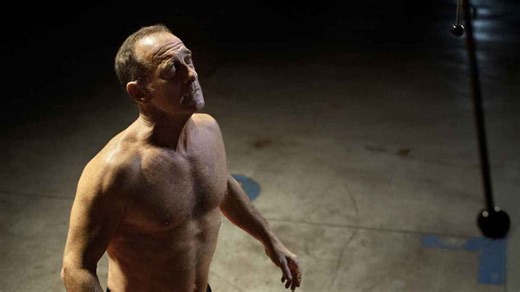 Titane | Release Date, Reviews, Cast, and Where to Watch