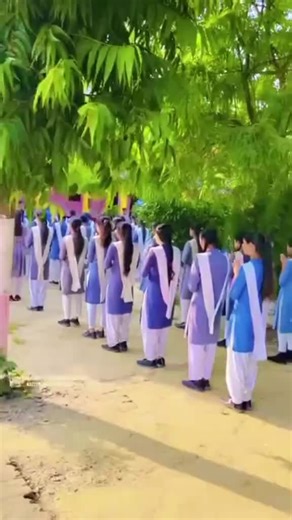 College life on TikTok