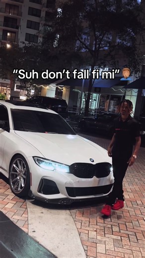 Funny Hamster Skating Video Converter Ultimate