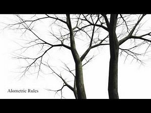 Capturing and Animating the Morphogenesis of Polygonal Tree Models