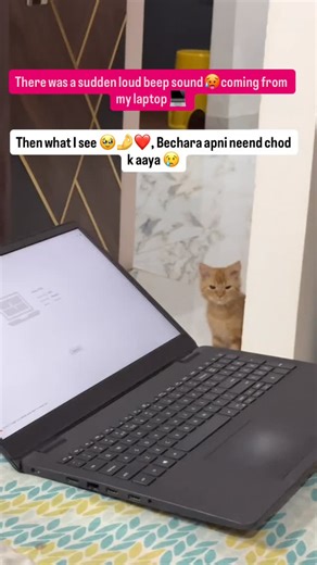 Cosco on Instagram: "Bichare ki need kharab kr di "