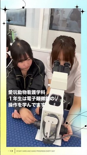 電子顕微鏡の使い方は？愛玩動物看護学科１年生も頑張っています。#京都動物専門学校 ＃愛玩動物看護師 #真面目に学べる #専門学校