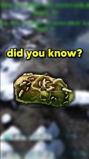 This ARK Trick Saves HOURS (Instant Spoiled Meat Guide) #arksurvivalevolved #ark #shorts #arktips