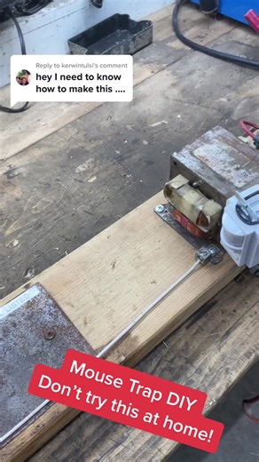 DIY Mouse Trap - Don't Try This at Home!