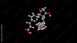 Structure of prostaglandin E2. Animated 3D ball-and-stick and space-filled models, black background.