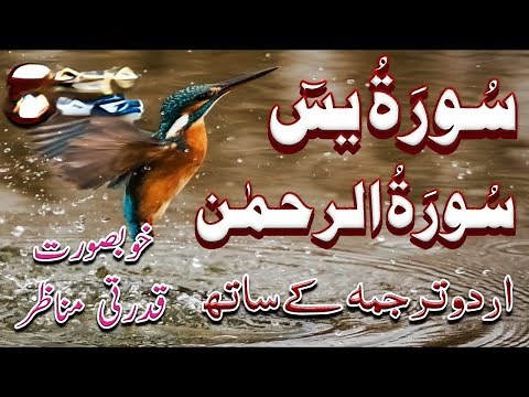 surah rehman ki tilawat tarjuma ke sath | surah yaseen full tarjuma ka sath