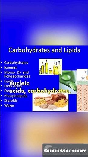 Biomolecules | Types, Functions, and Importance in Life #carbohydrate #lipids #protein #shorts