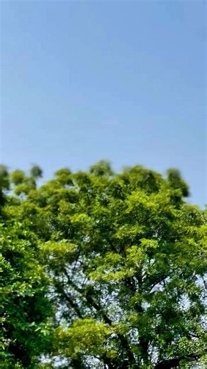 Explore the Superior College Main Campus Union 45