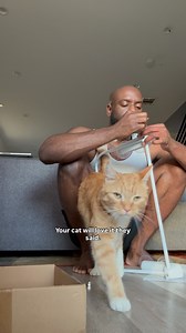 396K views · 8.6K reactions | Installed a cat hammock for mango and I can confirm it’s been a well and he has yet to use it. I think a little cat nip will do the trick  | Derrick Downey Jr. | Facebook