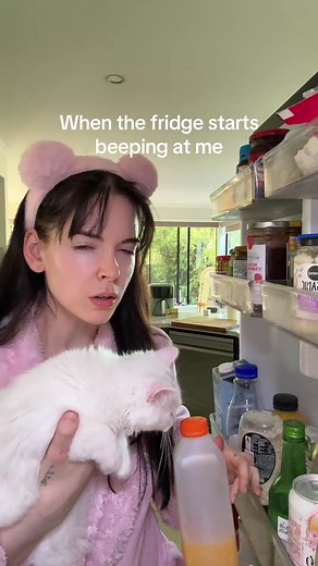 How to Handle Fridge Beeping