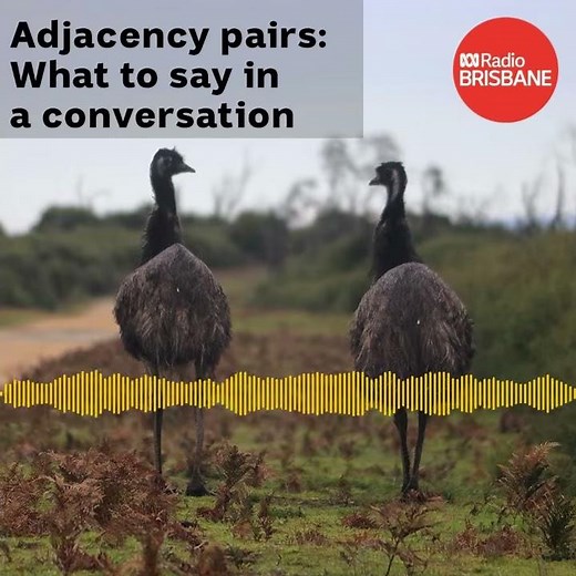 Adjacency pairs: What to say when in a conversation