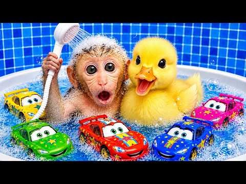 BonBon the monkey takes a bath with a duckling and toy cars! 🚿🦆🚗 - Monkey Poland