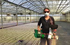 New educational video series on Greenhouse Biological Control released by MSU Extension