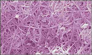 Un point sur les nanotechnologies