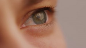 Eyes Looking Images – Browse 7,590,030 Stock Photos, Vectors, and Video