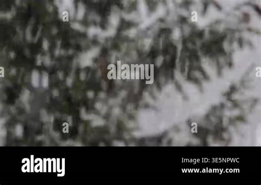 Snow falling on winter season slow motion Stock Video Footage - Alamy