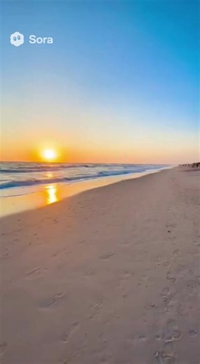 :) https://obx-locals-only.printify.me | Obx Locals Only