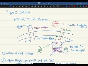 Type 2 diabetes, Glut4 transporter, insulin resistance, and exercise