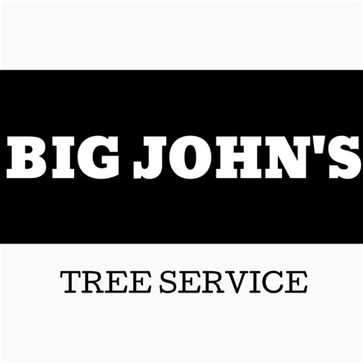 Big John's Tree Service LLC | Howell NJ