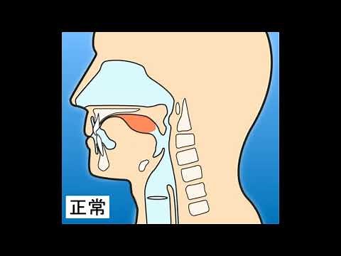 嚥下（アニメーション）