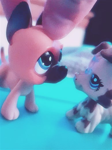 A little love story ♡ #lps #lpstiktok #lpscollection #lpstok #LPS