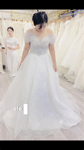 Elegant Bride Showcasing Timeless Wedding Beauty