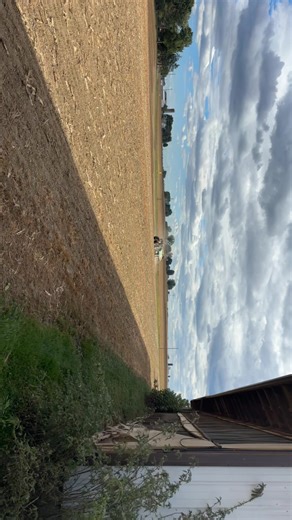 stmedia2 (@stmedia2)’s videos with original sound - stmedia2