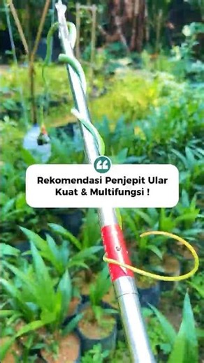 Multifunctional Snake Tongs, Strong & Rust-Resistant Material ‼️