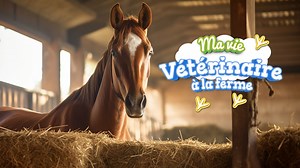 Ma Vie : Vétérinaire à la ferme pour Nintendo Switch - Site Officiel Nintendo pour Canada