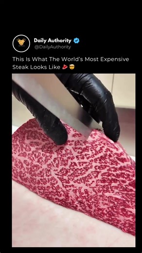 This isn’t normal steak. 🥩 This is A5 Japanese Wagyu — the highest possible grade of beef in the world. What makes this even crazier is the cut. This is the round — a muscle from the leg that’s usually lean and tough in normal cows. But Wagyu cattle are genetically different. Their meat develops extreme intramuscular fat (called sashi), which creates this web-like marbling throughout the muscle. Follow @dailyauthority for the rarest, most insane things on Earth. Credit: alpinebutcher #wagyu #a5