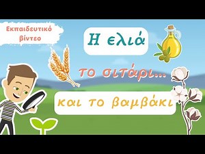 Η ελιά, το σιτάρι και το βαμβάκι στο νηπιαγωγείο 🌱 Από τον σπόρο στο φυτό / Εκπαιδευτικο βιντεο
