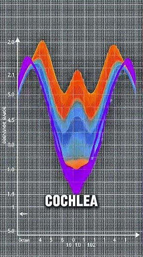 Why Notes Clash? Insane Physics of Musical Dissonance!