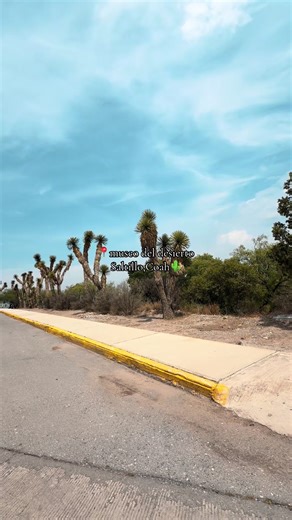 Museo del Desierto: Descubre Saltillo