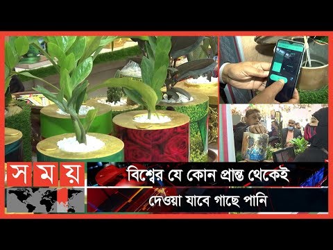 ডিজিটাল টব, একবার পানি দিলে ৬ মাস পানি দিতে হবে না! | Digital Tree Tub | Tree Tub | Business News