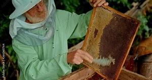 New harvest of honey, close-up. Natural product, honey flows from the extractor into a jar. 4k, 10bit, ProRes