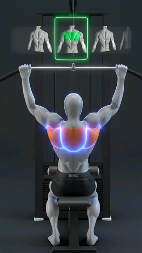 Train like alpha on Instagram: "Back exercises using lat pull down machine 👆, Comment “Alpha” or DM me to get ultimate muscle building guide e-book 📕 and follow us for more. Check the link in bio once 🔗#train #reachnewheights #gymmotivation"