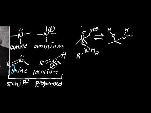 Biochemistry | Schiff Base Chemistry [Part 1/2]