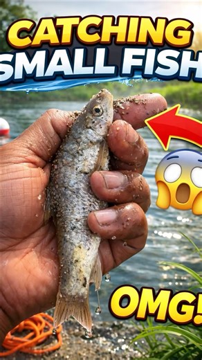 Nobody Can Catch This Fish With Bare Hands! 😱 #Shorts #fishing