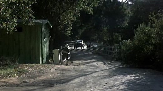 Meatballs Part II (1984) Full Movie Comedy ‧ 1h 27m rated R (mature) Welcome to the movies and television