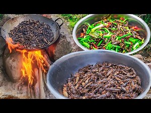 Crispy Spicy Crickets! Cooking Wild Insects in the Mountain Forest