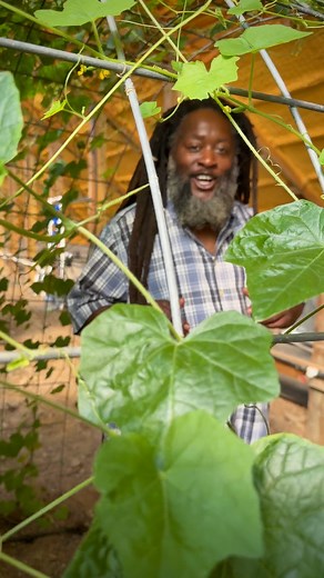 389K views · 20K reactions | Ever wondered where rare seeds are born?  Come take a walk with Farmer Frank at Baker Creek… #farmlife #gardening #farming #plants #plantsmakepeoplehappy | Baker Creek Seeds | Facebook