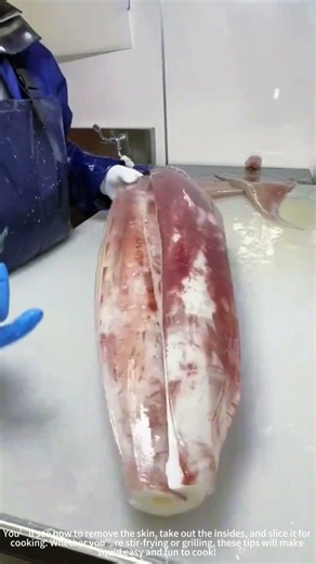 Squid Kitchen Skills 🔪🐙 | Chef's Guide