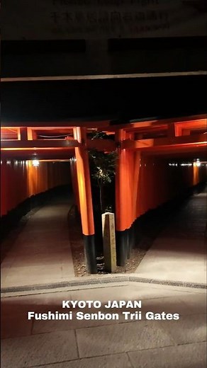 Walking Through 1,000 Torii Gates ⛩️✨