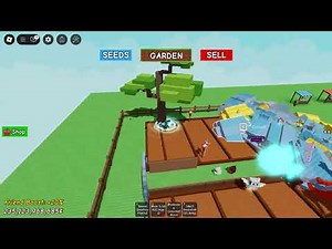 showcase Hive fruit seed